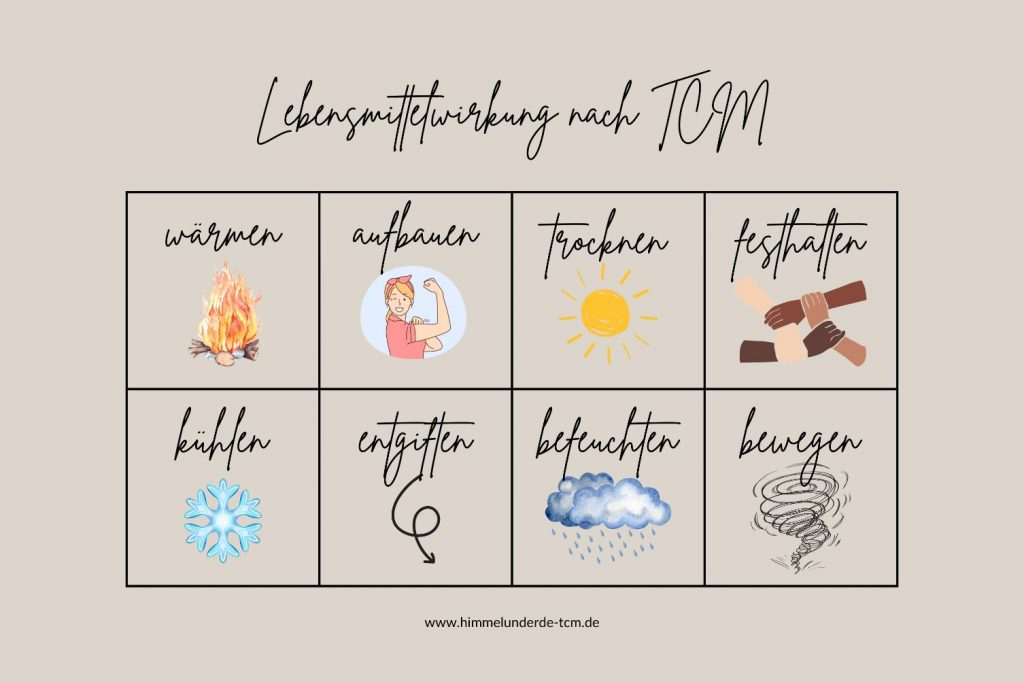 Die Wirkweisen der Lebensmittel nach TCM (Svenja Pauls)